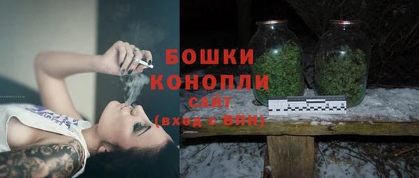 дурь Касимов