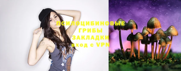 дурь Касимов