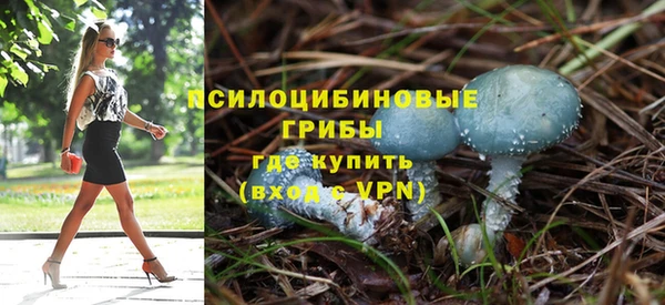 дурь Касимов