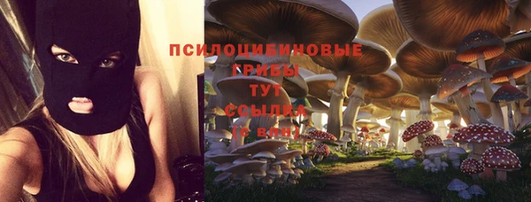 a pvp Карпинск