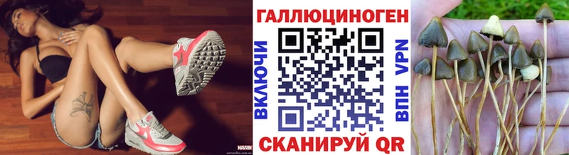 Псилоцибиновые грибы Psilocybe Оса